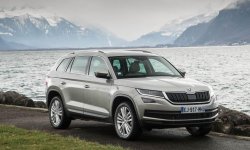 Новая Skoda Kodiaq 2021: цена, фото, обзор, характеристики кроссовера
